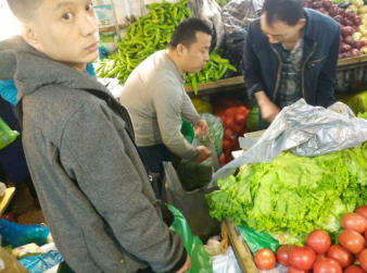 十年坚持，新鲜直达——哈尔滨柱子精准蔬菜配送，守护您的餐桌每一天