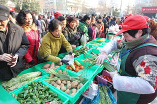 平价惠民，新鲜蔬菜零售助力健康生活