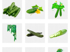 新鲜有机蔬菜 黄瓜海报详情页素材及模板一站式下载指南